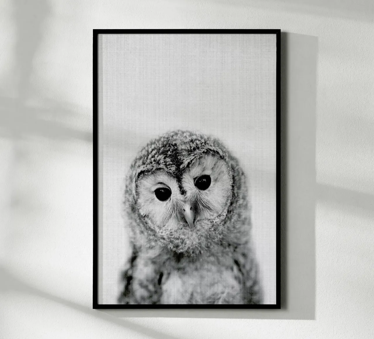 Print 282 poster da Lila & Lola