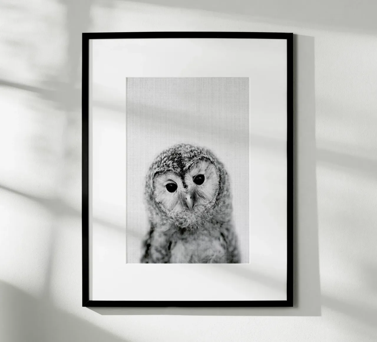 Print 282 poster da Lila & Lola