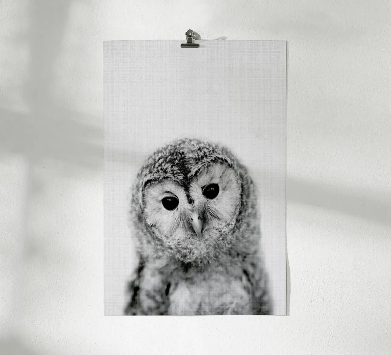 Print 282 poster da Lila & Lola