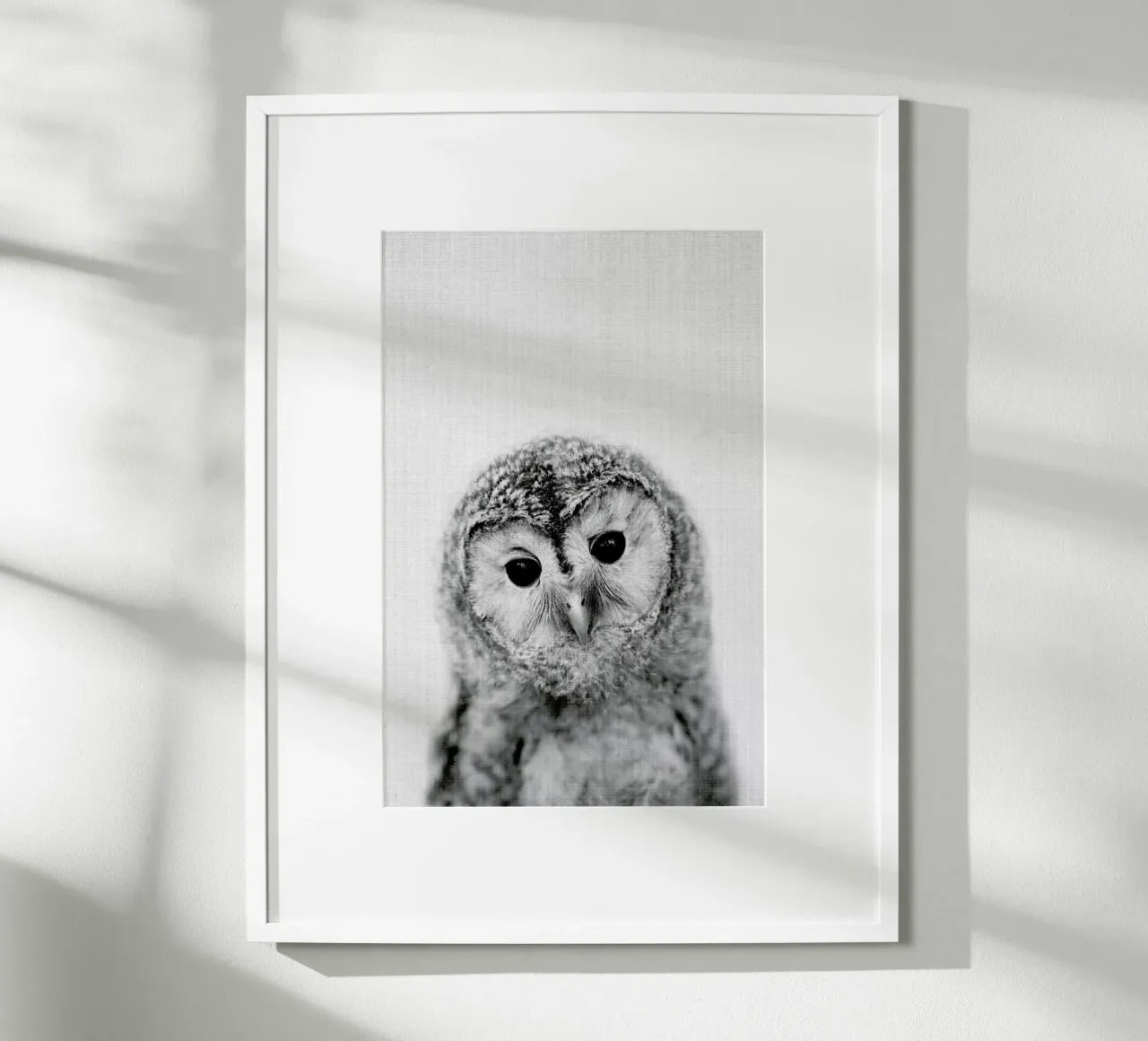 Print 282 poster da Lila & Lola