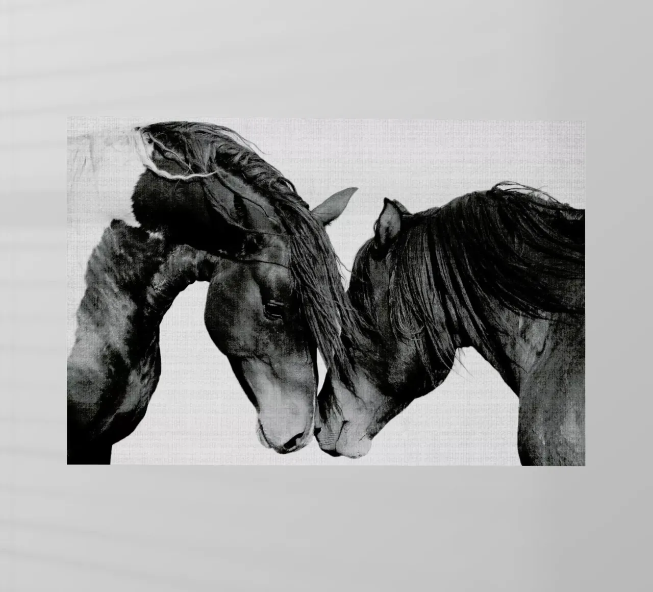 Print 185 pellicola backlit da Lila & Lola