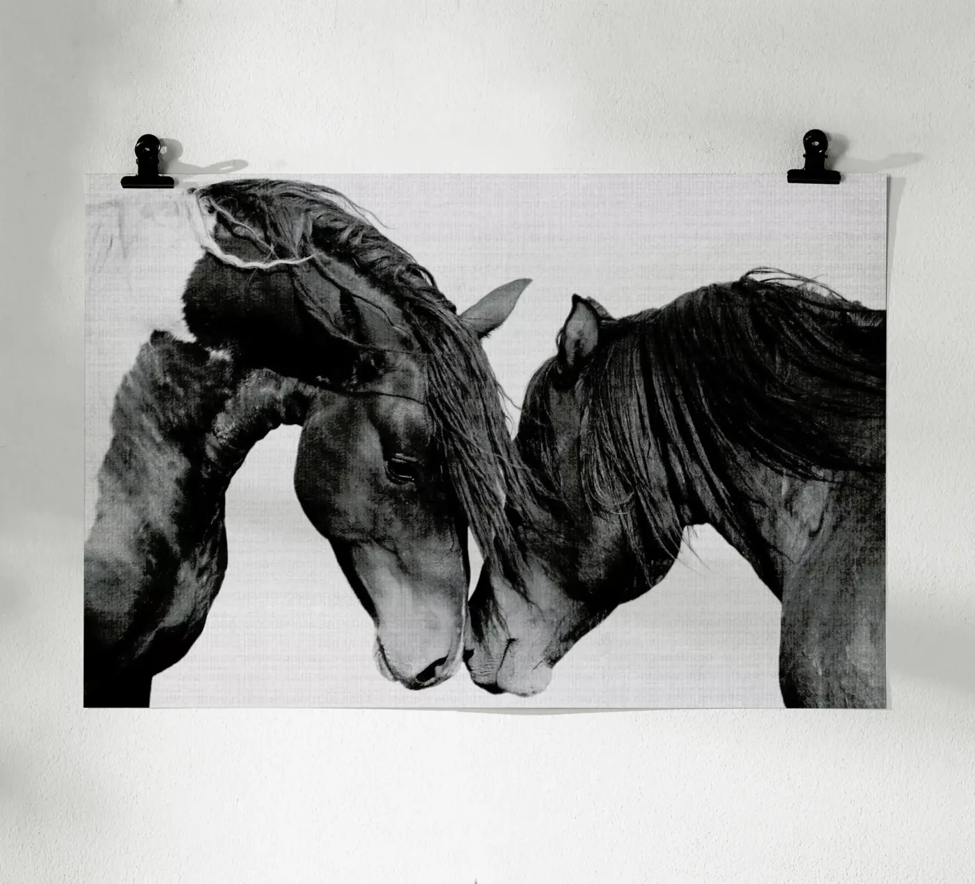 Print 185 poster da Lila & Lola