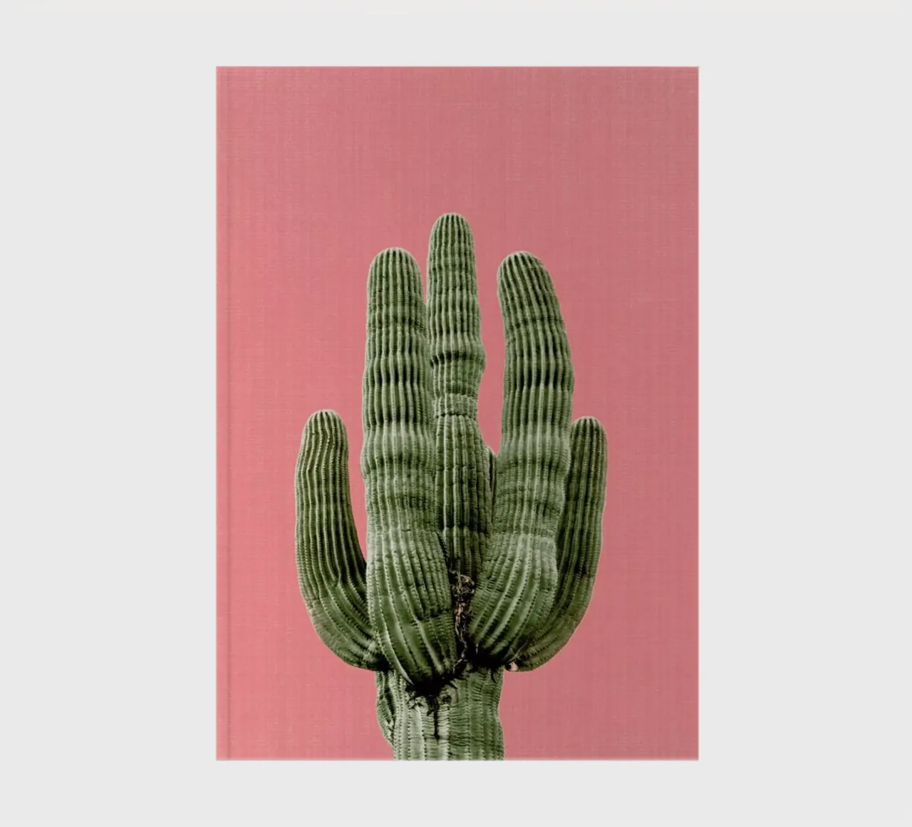 Print 85 notebook by Lila x Lola