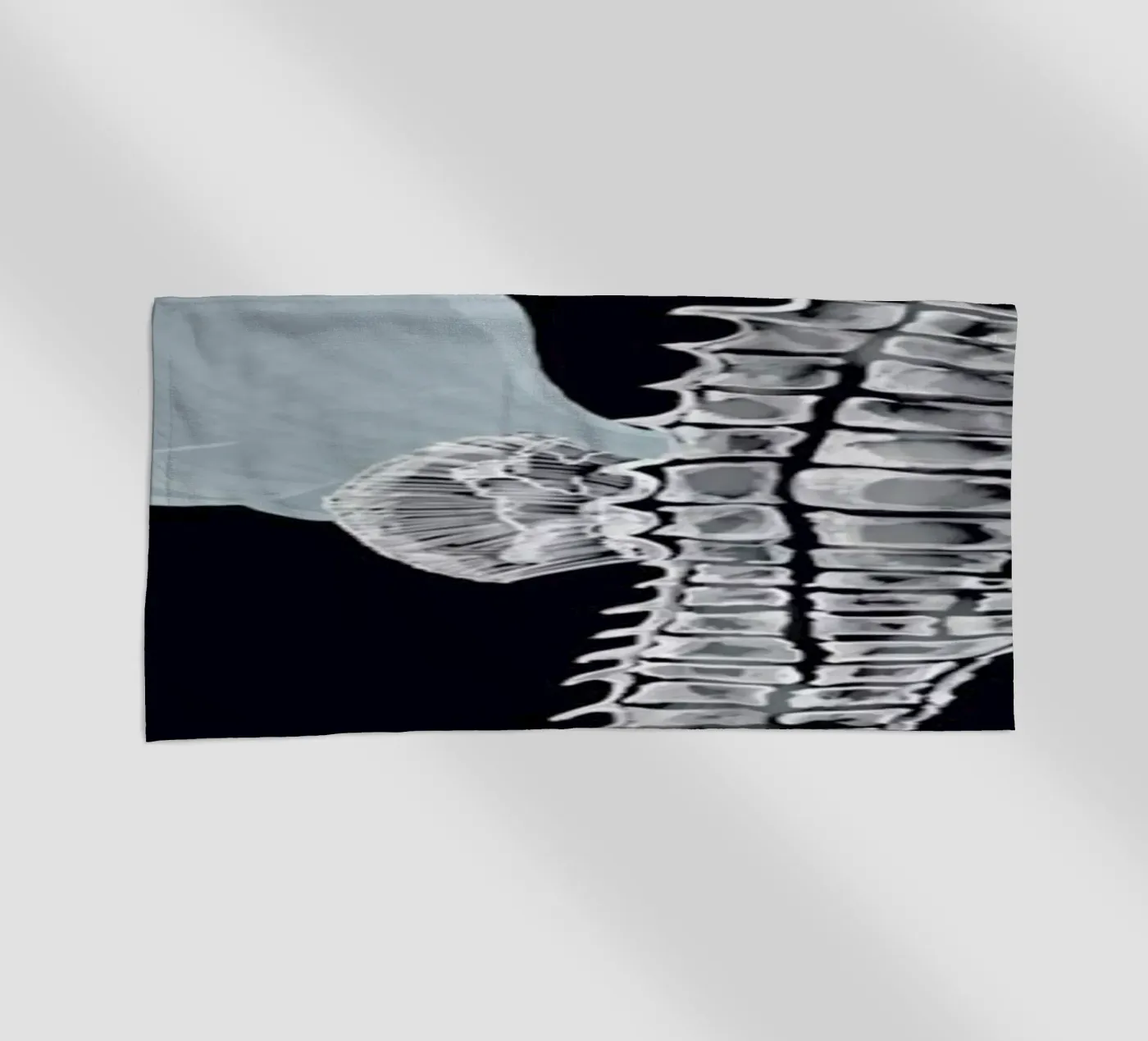 Pegasus telo mare da Amalia Restrepo