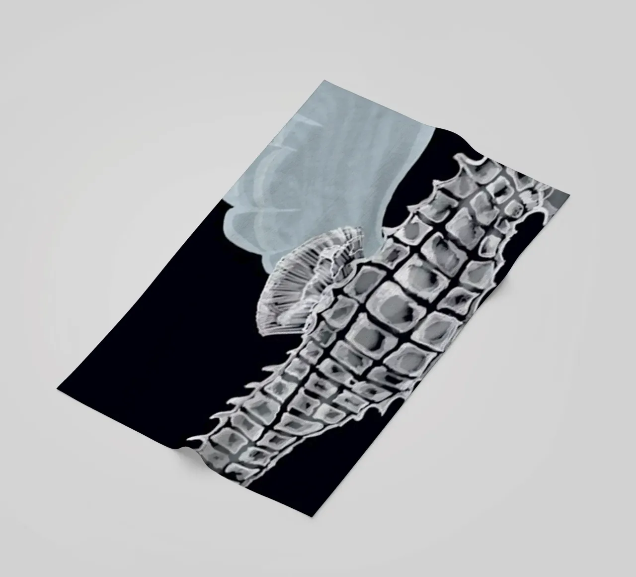 Pegasus telo mare da Amalia Restrepo