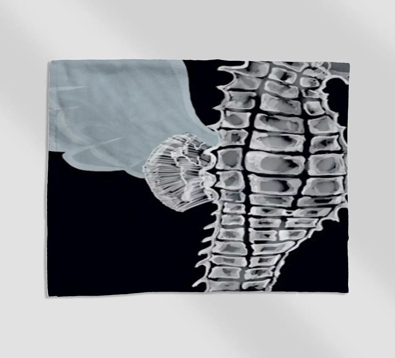 Pegasus telo mare da Amalia Restrepo