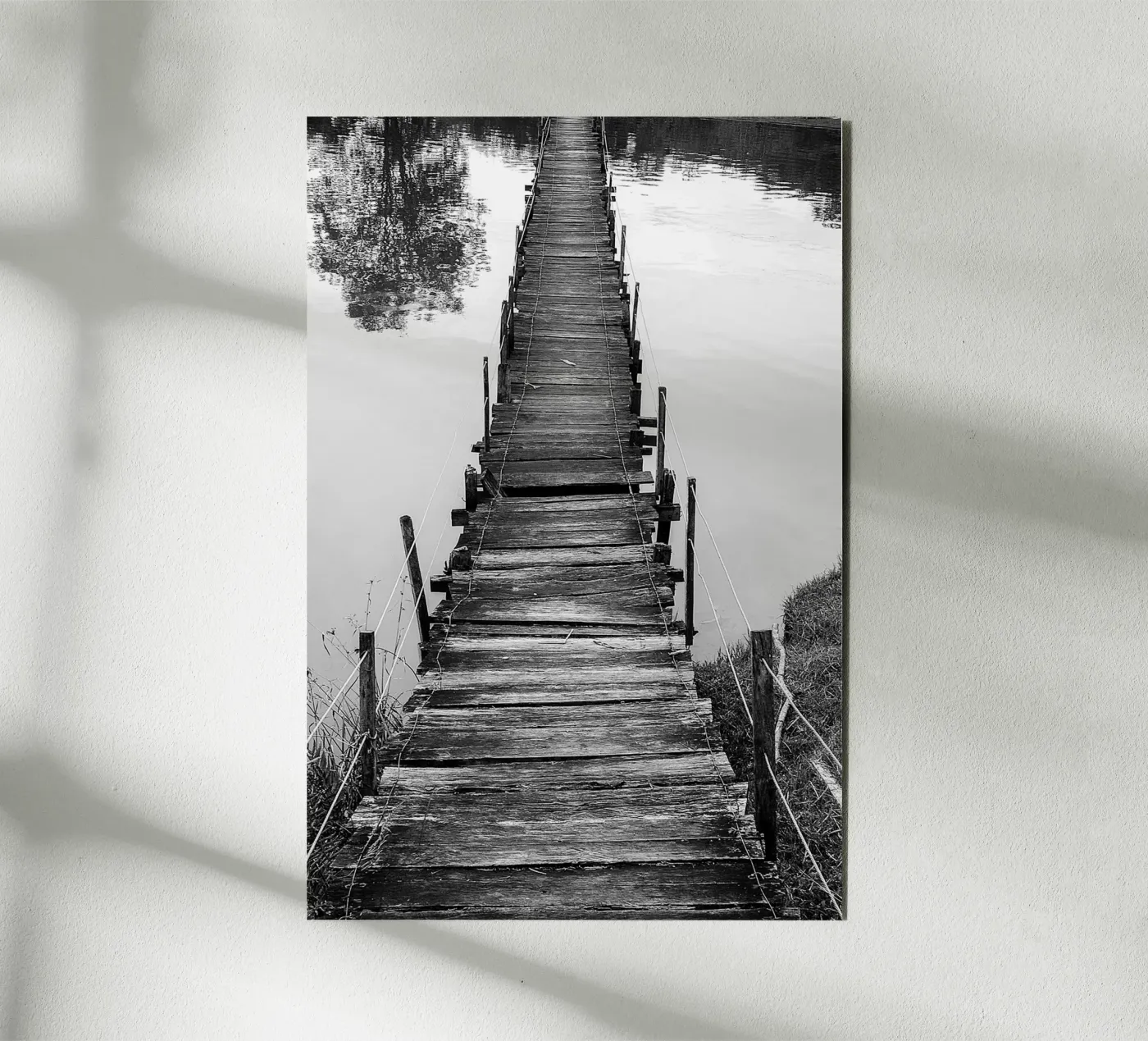 Bridge alluminio dibond da adrianooliveiraphoto