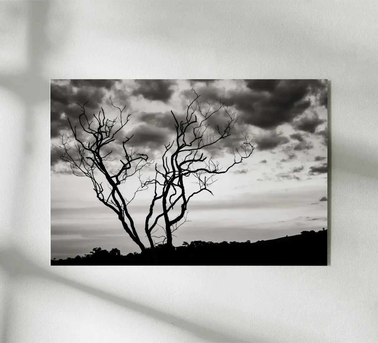 Sunset no. 20 BW plexiglass da adrianooliveiraphoto