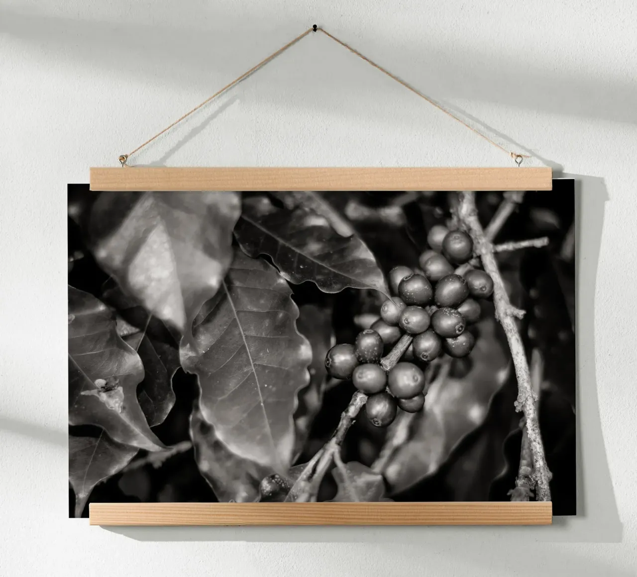 Coffee Branch BW poster da adrianooliveiraphoto
