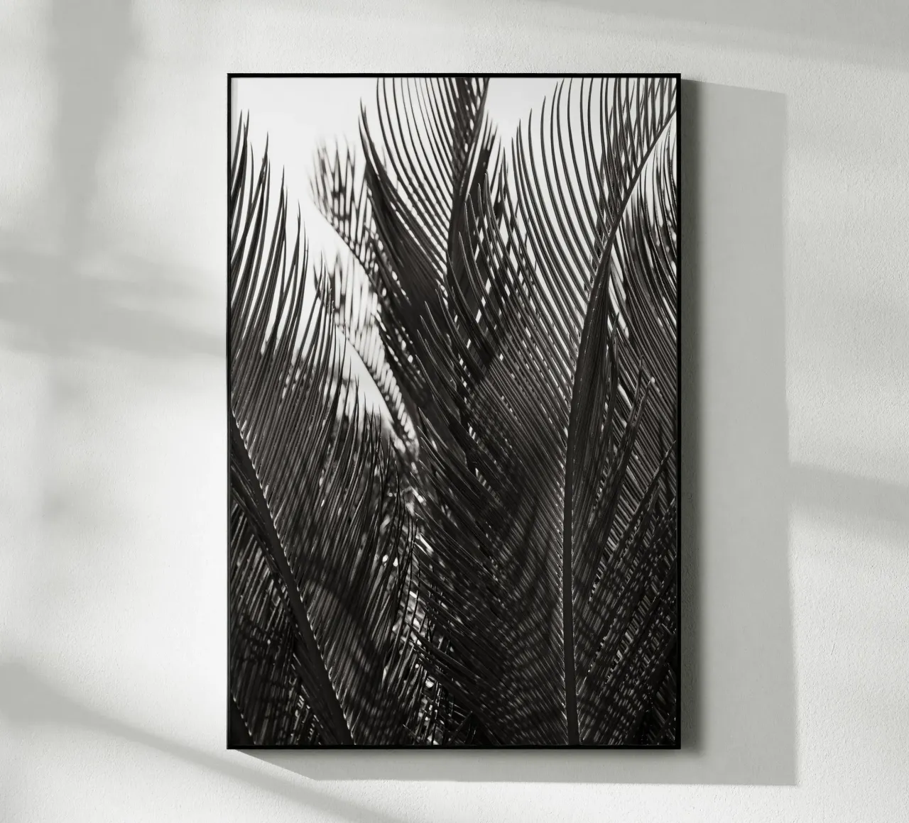 Abstract Palm Leaves plexiglass da adrianooliveiraphoto