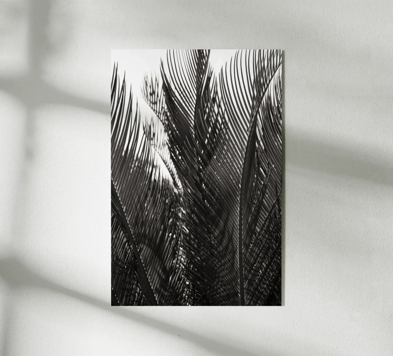 Abstract Palm Leaves plexiglass da adrianooliveiraphoto
