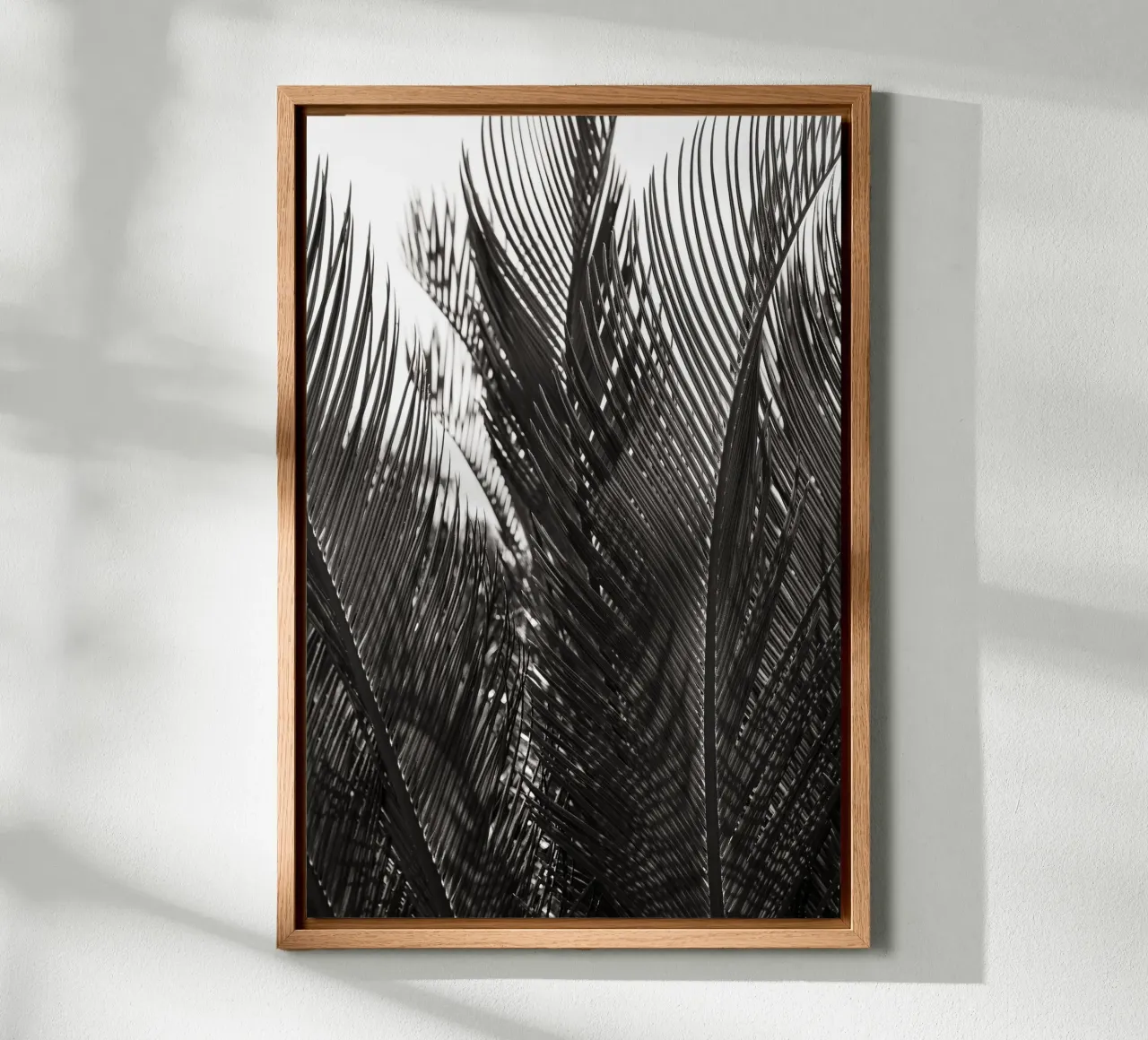 Abstract Palm Leaves tela da adrianooliveiraphoto
