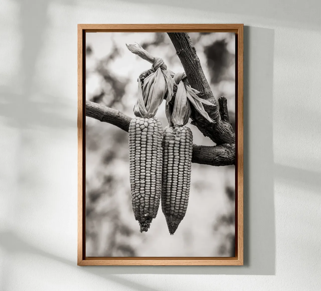 Corn cobs tela da adrianooliveiraphoto