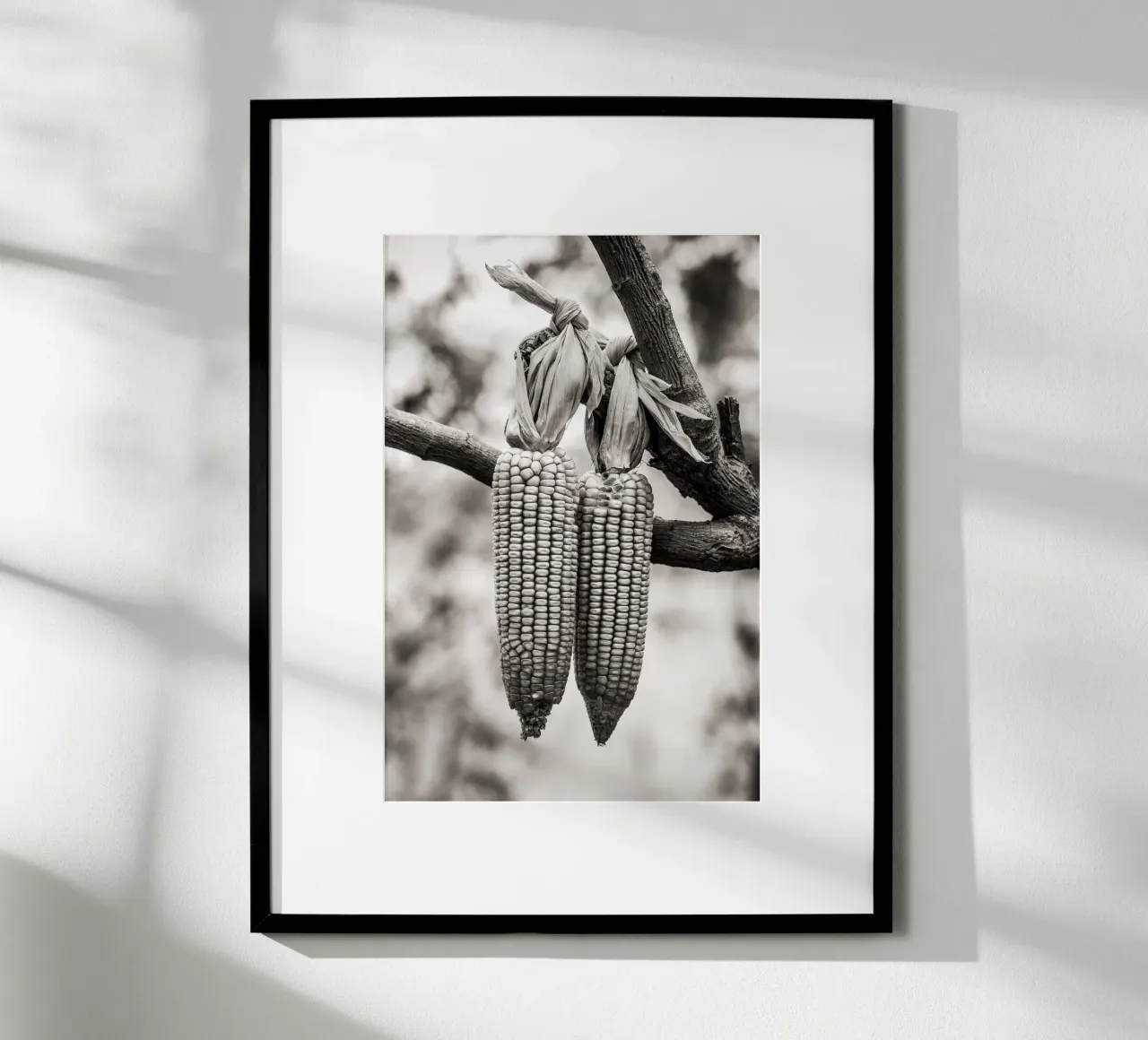 Corn cobs poster con telaio in plastica da adrianooliveiraphoto