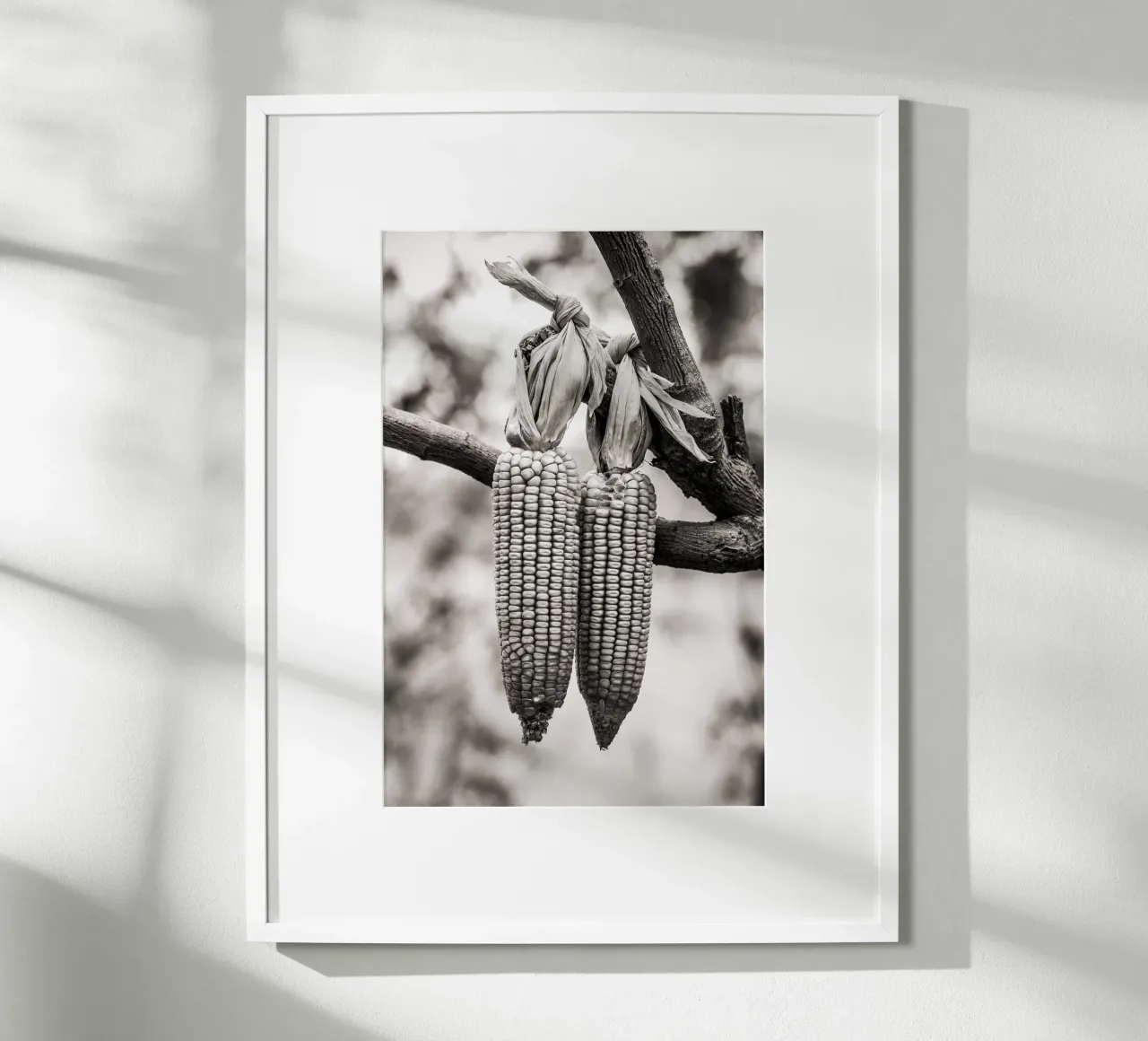 Corn cobs poster con telaio in plastica da adrianooliveiraphoto