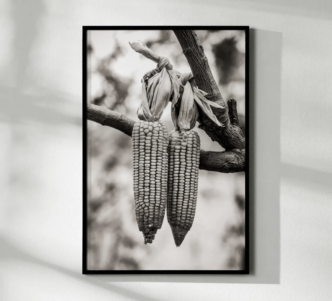 Corn cobs poster con telaio in plastica da adrianooliveiraphoto