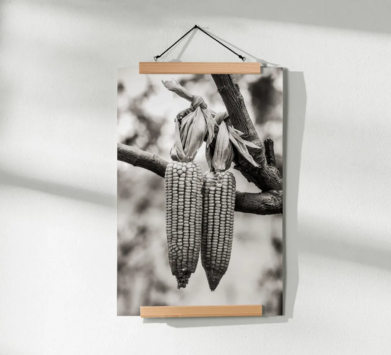 Corn cobs poster da adrianooliveiraphoto