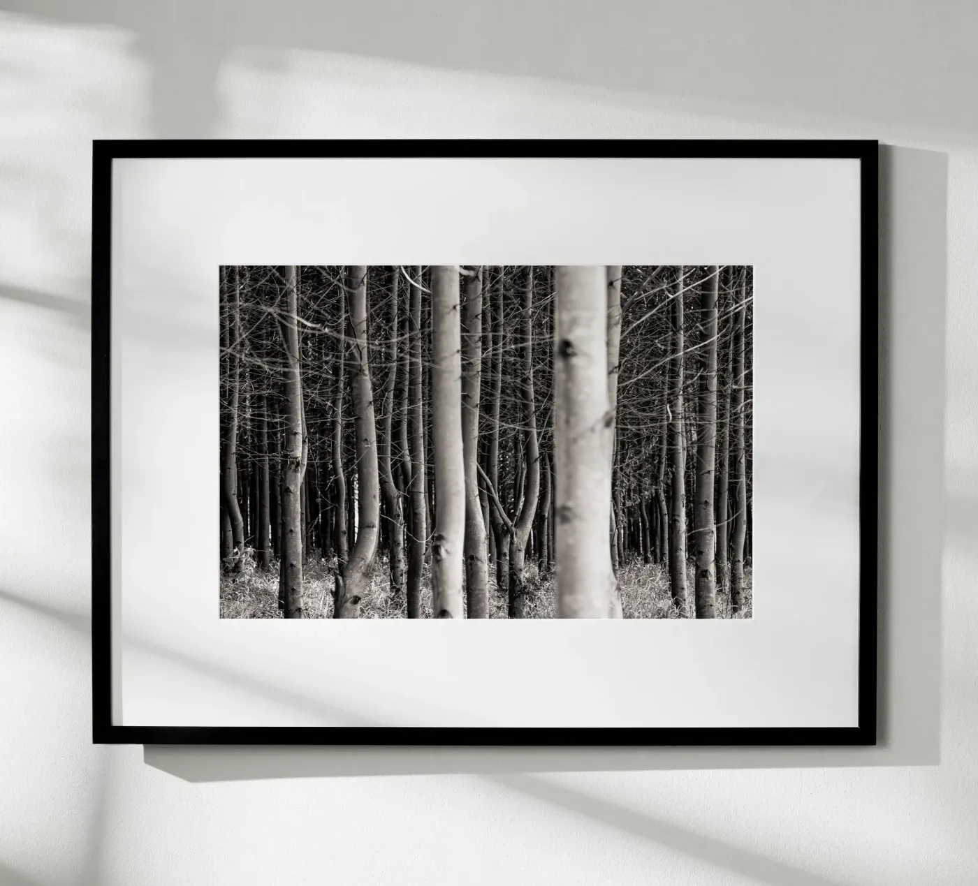 Misty Forest poster da adrianooliveiraphoto
