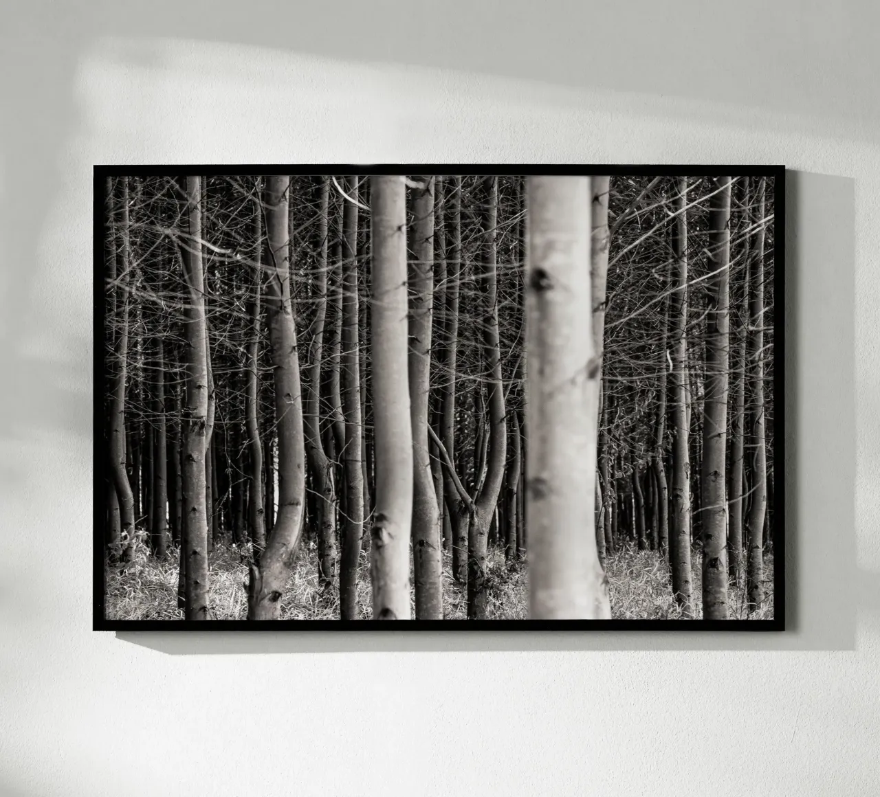 Misty Forest poster da adrianooliveiraphoto