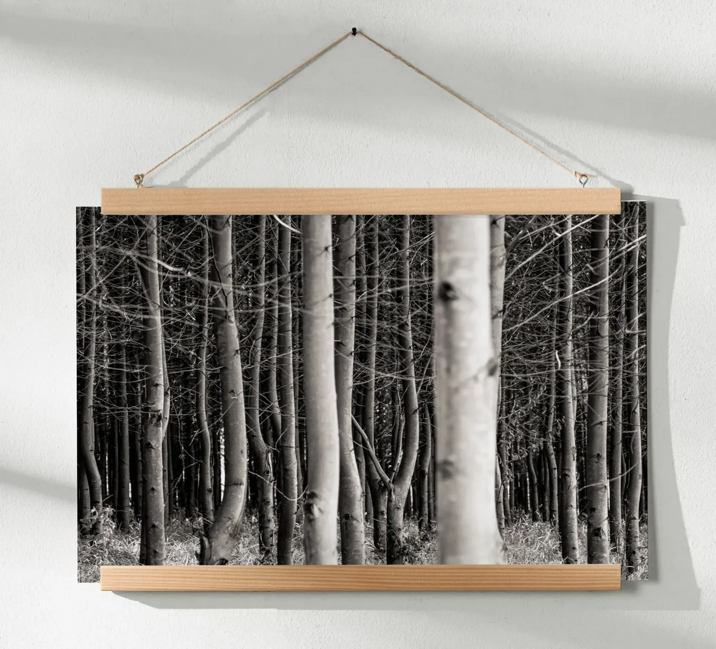 Misty Forest poster da adrianooliveiraphoto