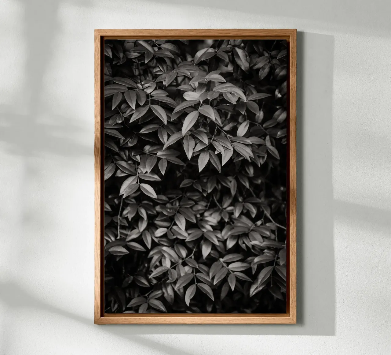 Foliage no. 2 BW canvas met Baklijst van adrianooliveiraphoto