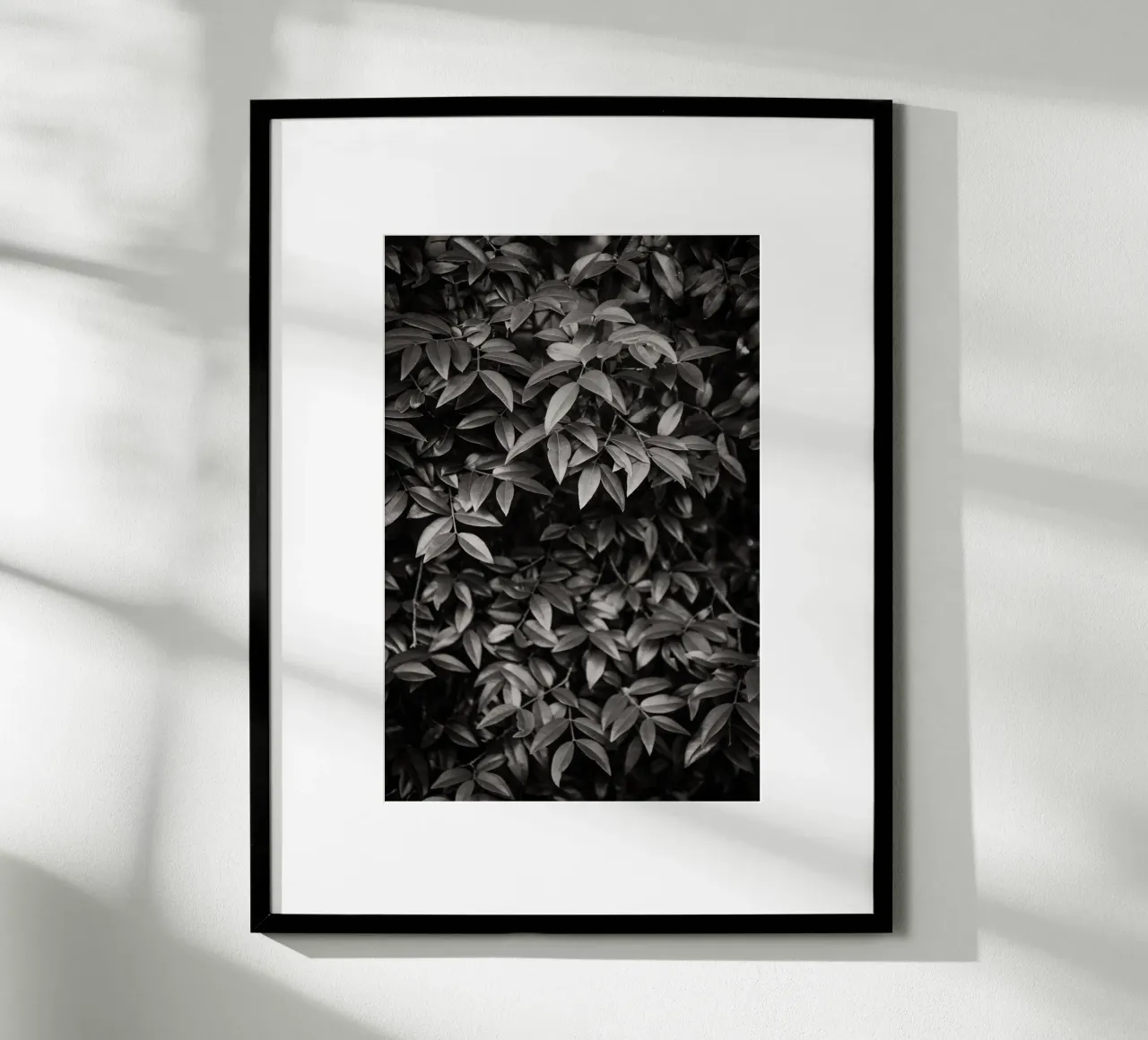 Foliage no. 2 BW poster da adrianooliveiraphoto