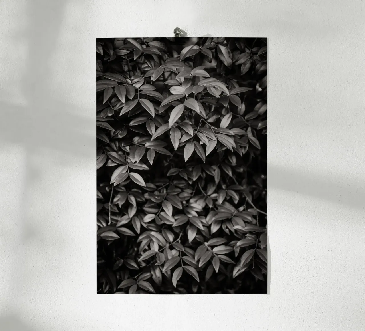 Foliage no. 2 BW poster da adrianooliveiraphoto