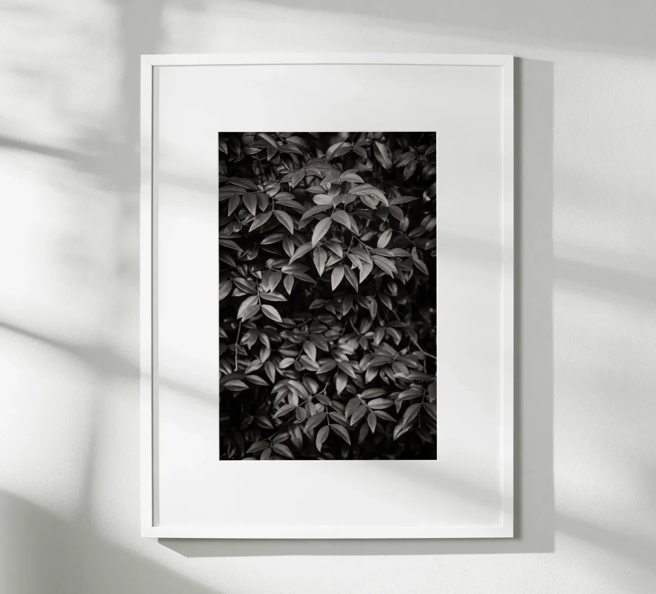 Foliage no. 2 BW poster da adrianooliveiraphoto