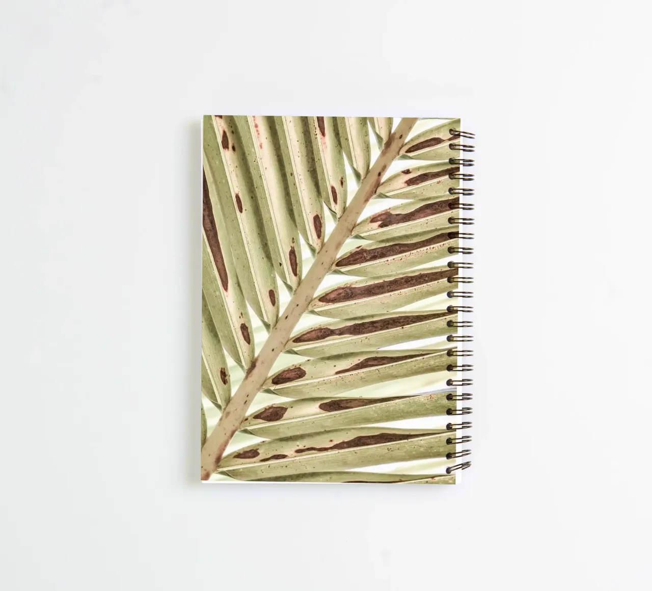 Palm leaf (close-up) spiral notebook by adrianooliveiraphoto