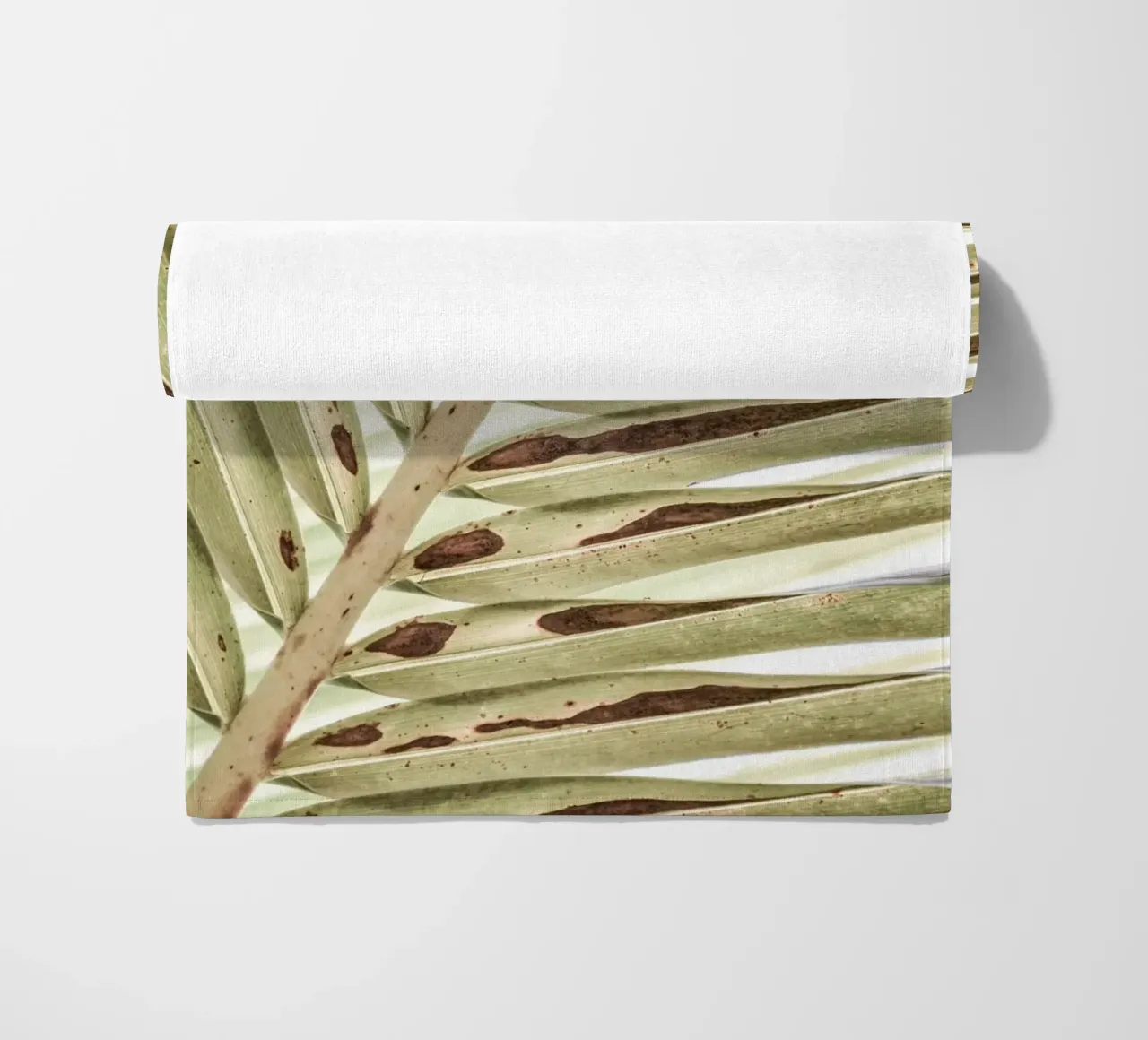 Palm leaf (close-up) telo mare da adrianooliveiraphoto