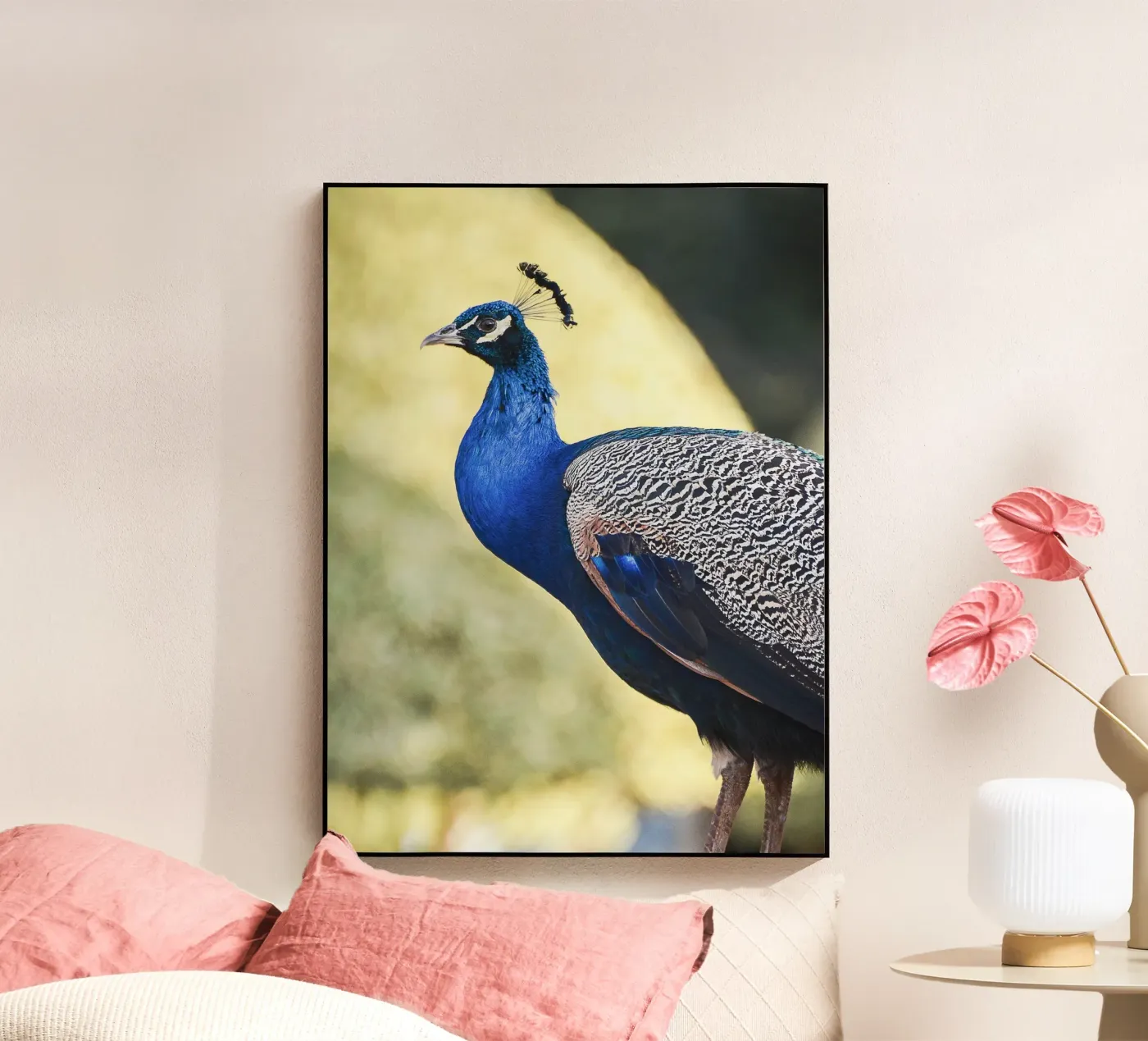 Peacock portrait plexiglass da adrianooliveiraphoto