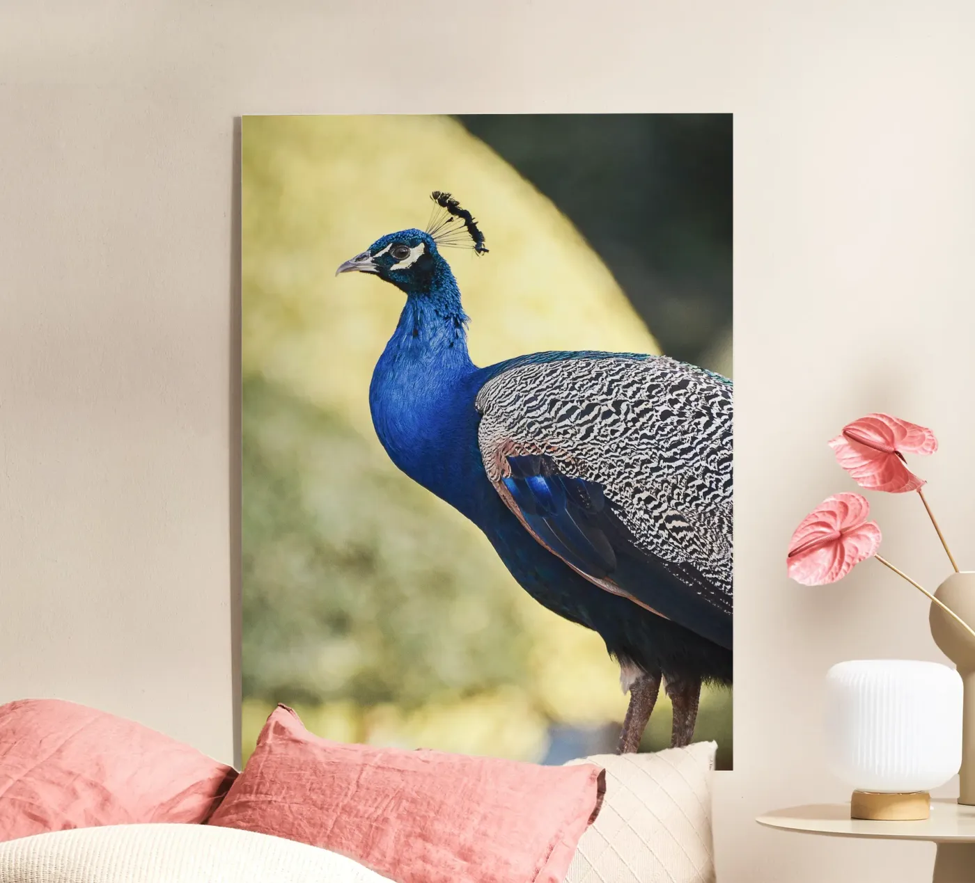 Peacock portrait plexiglass da adrianooliveiraphoto