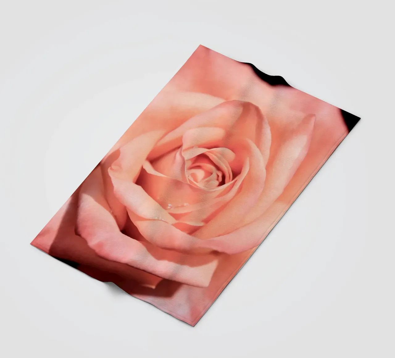Rose flower no. 1 (close up) fleece blanket by adrianooliveiraphoto