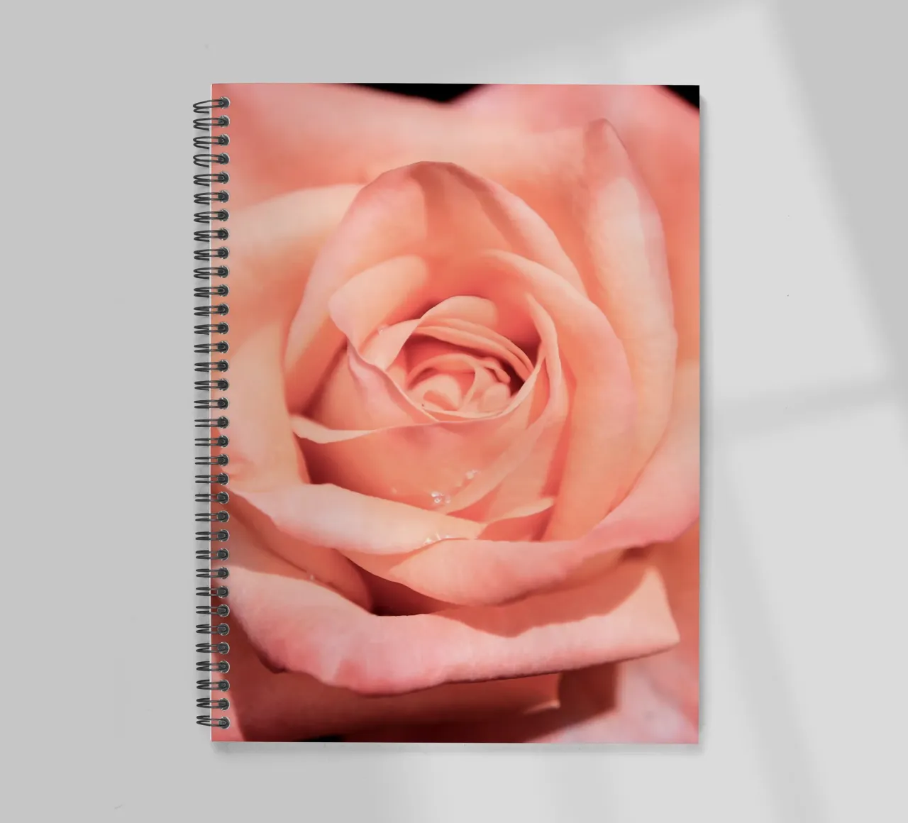 Rose flower no. 1 (close up) diario ad anelli da adrianooliveiraphoto