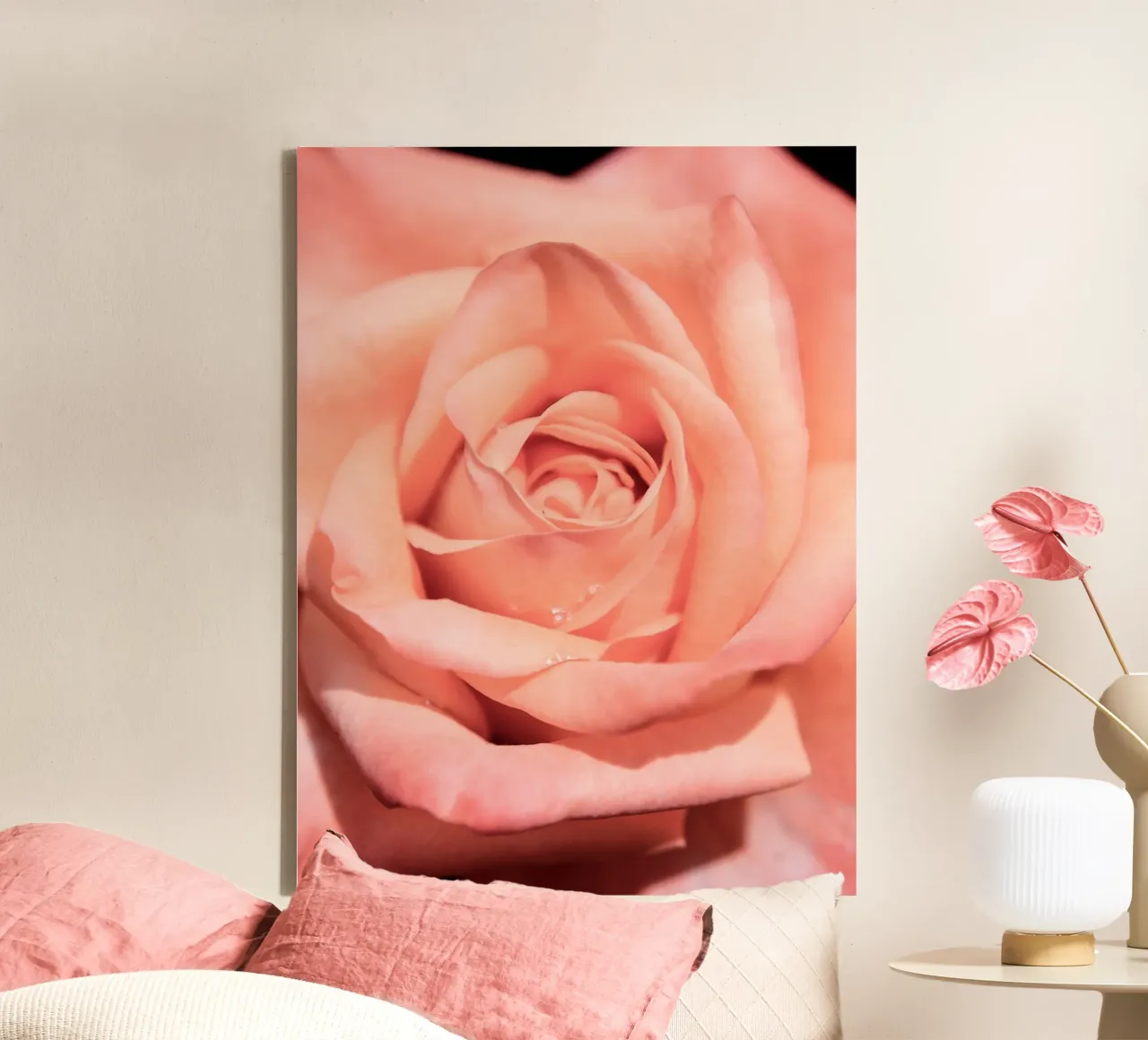 Rose flower no. 1 (close up) canvas by adrianooliveiraphoto