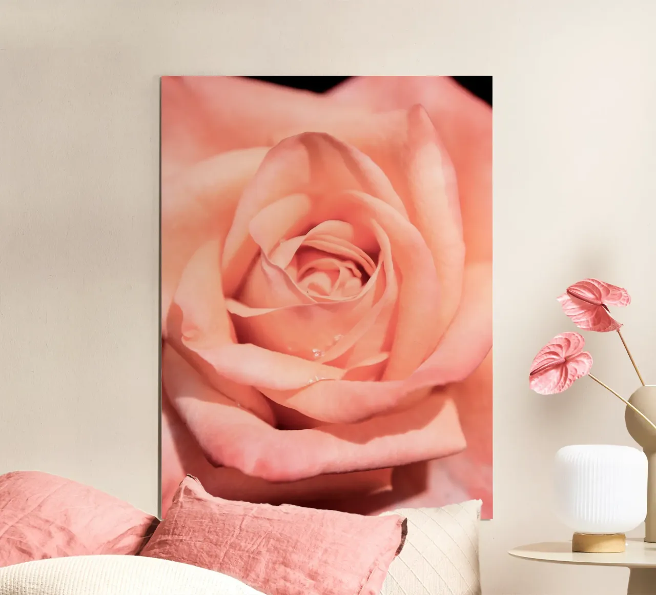 Rose flower no. 1 (close up) poster con telaio in alluminio da adrianooliveiraphoto