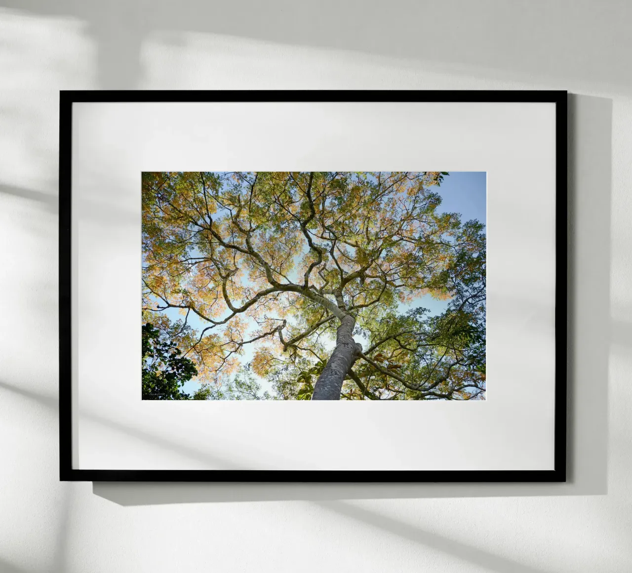 Autumn Tree poster da adrianooliveiraphoto