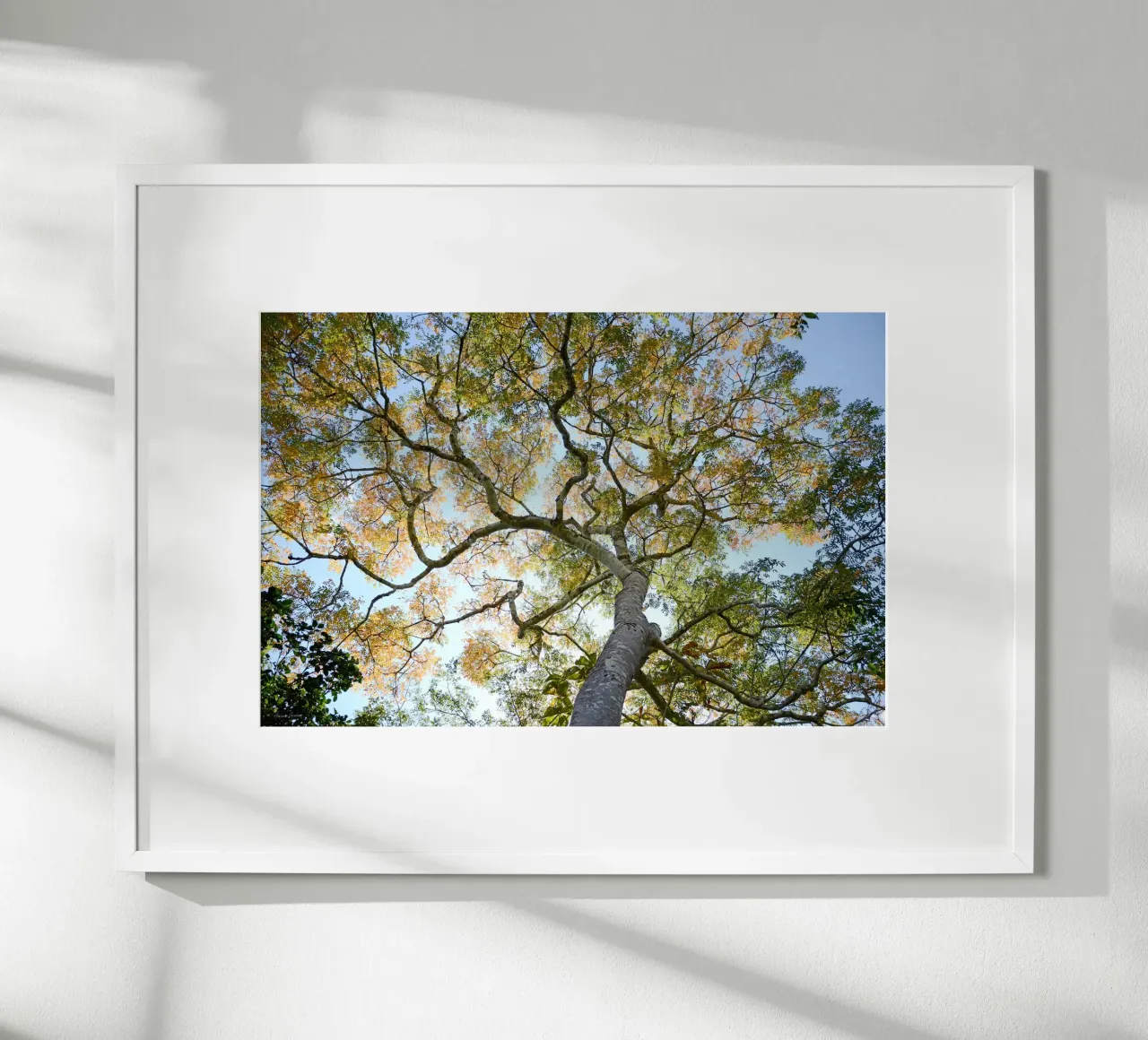 Autumn Tree poster da adrianooliveiraphoto