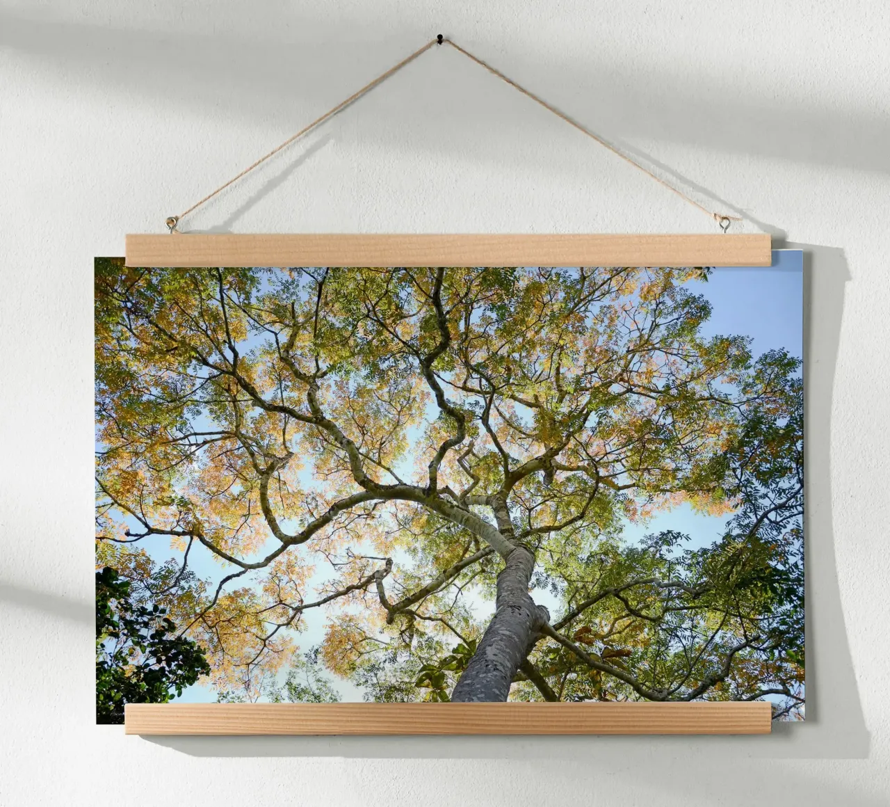 Autumn Tree poster da adrianooliveiraphoto