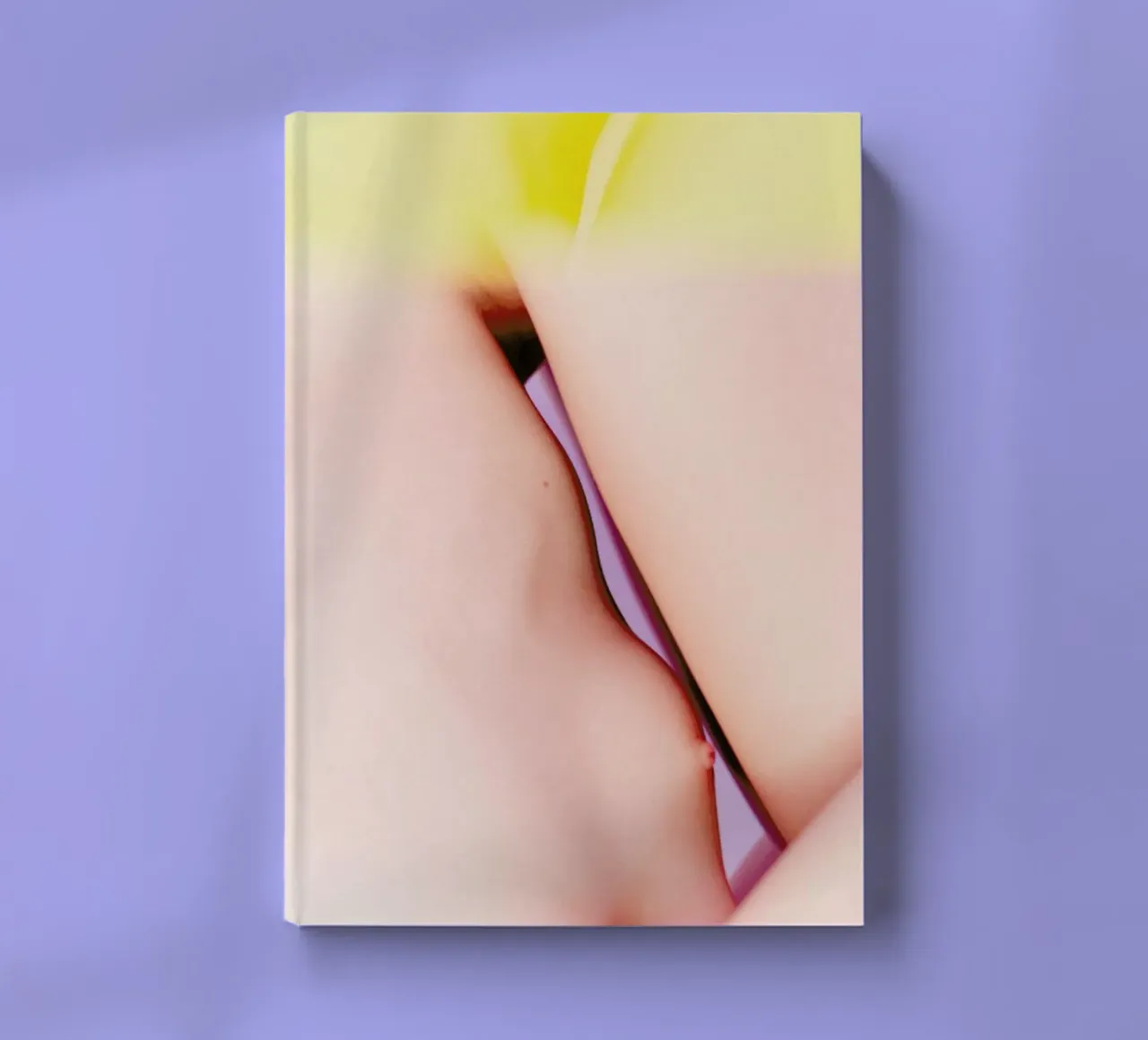 Hide Away Tree House 1 notebook by Paul Aidan Perry