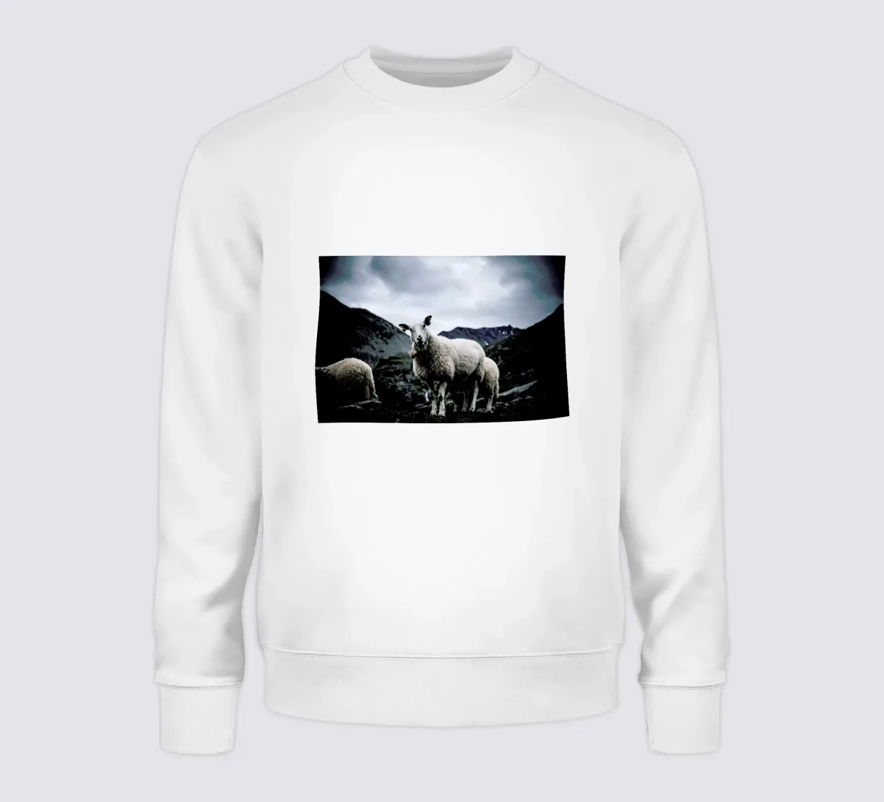 Sheep 2 felpa da Chris Abatzis