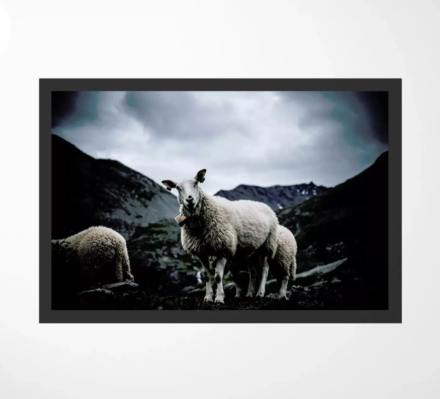 Sheep 2 doormat by Chris Abatzis