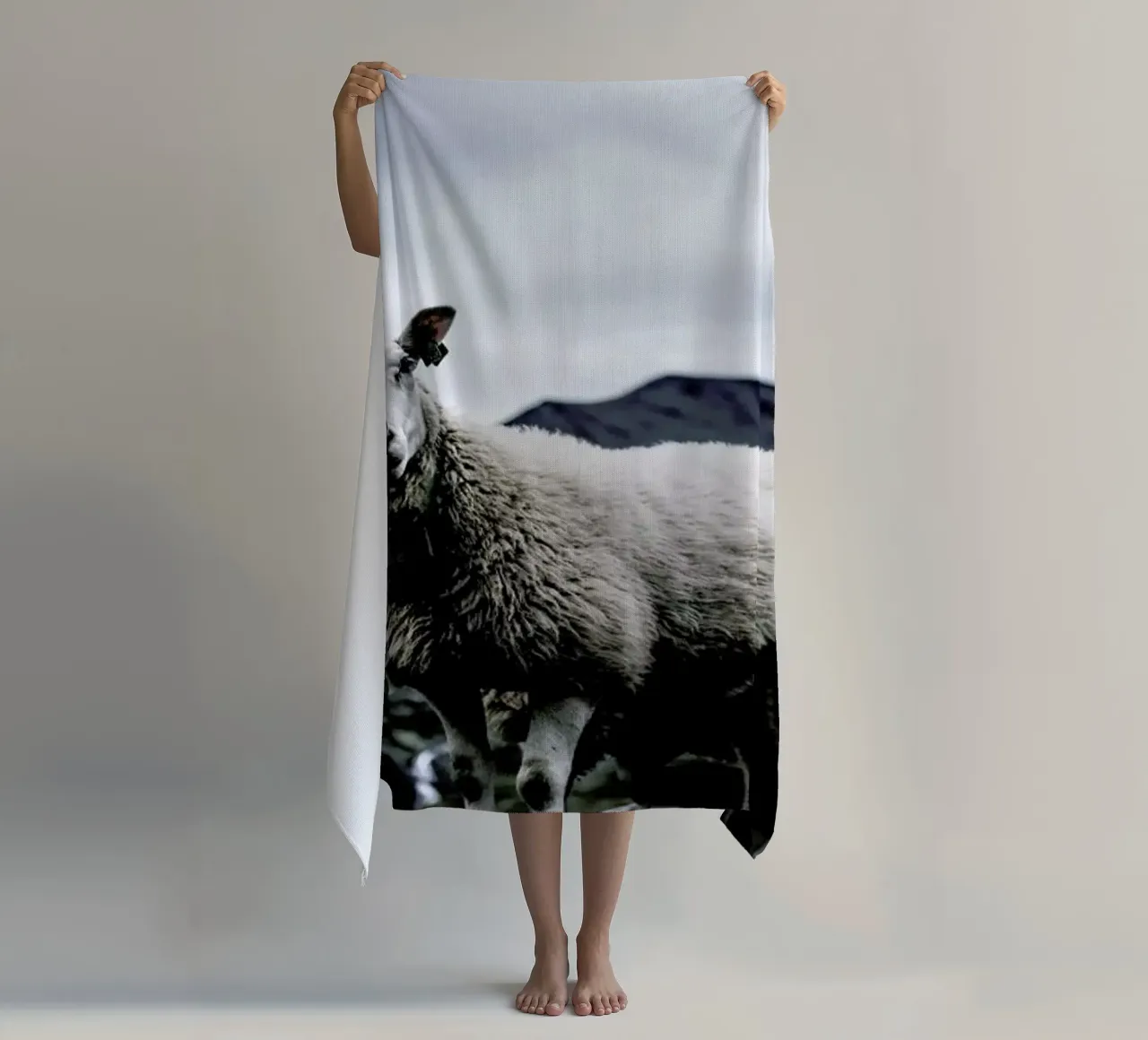 Sheep 2 telo mare da Chris Abatzis