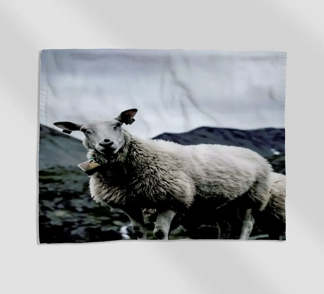 Sheep 2 telo mare da Chris Abatzis