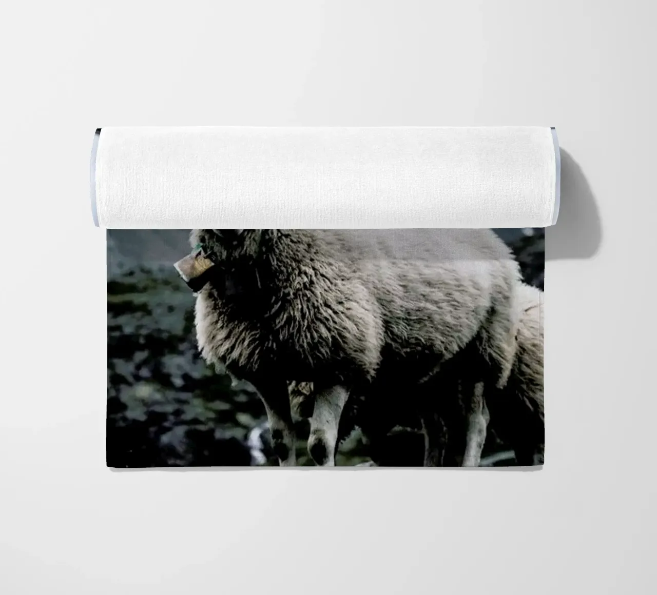 Sheep 2 telo mare da Chris Abatzis