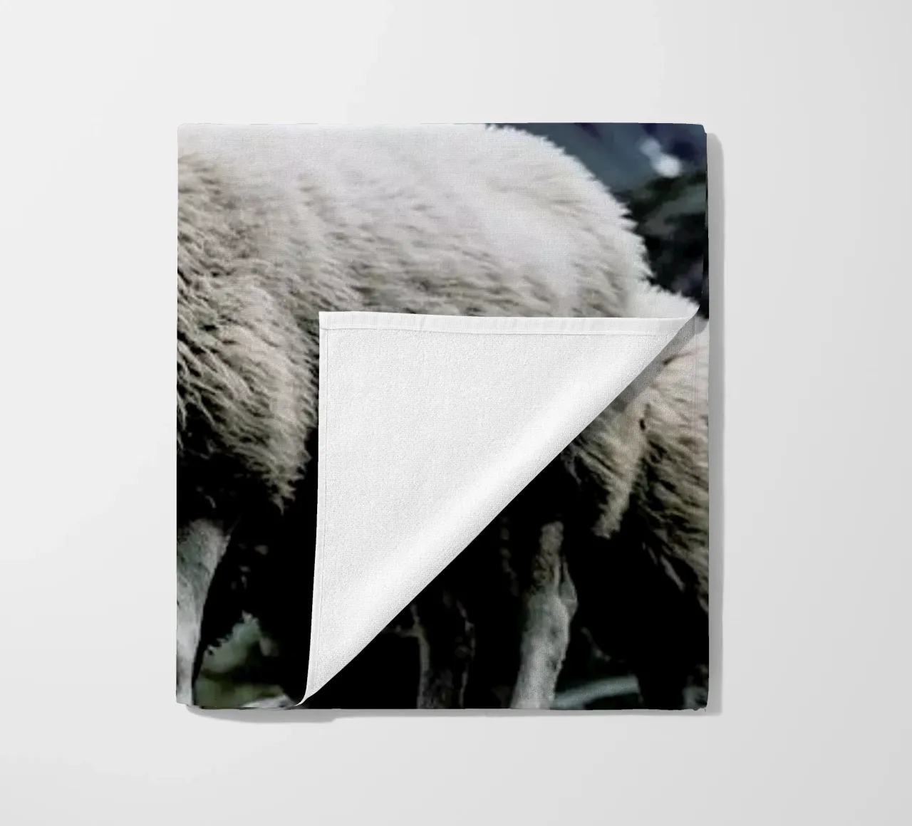 Sheep 2 telo mare da Chris Abatzis