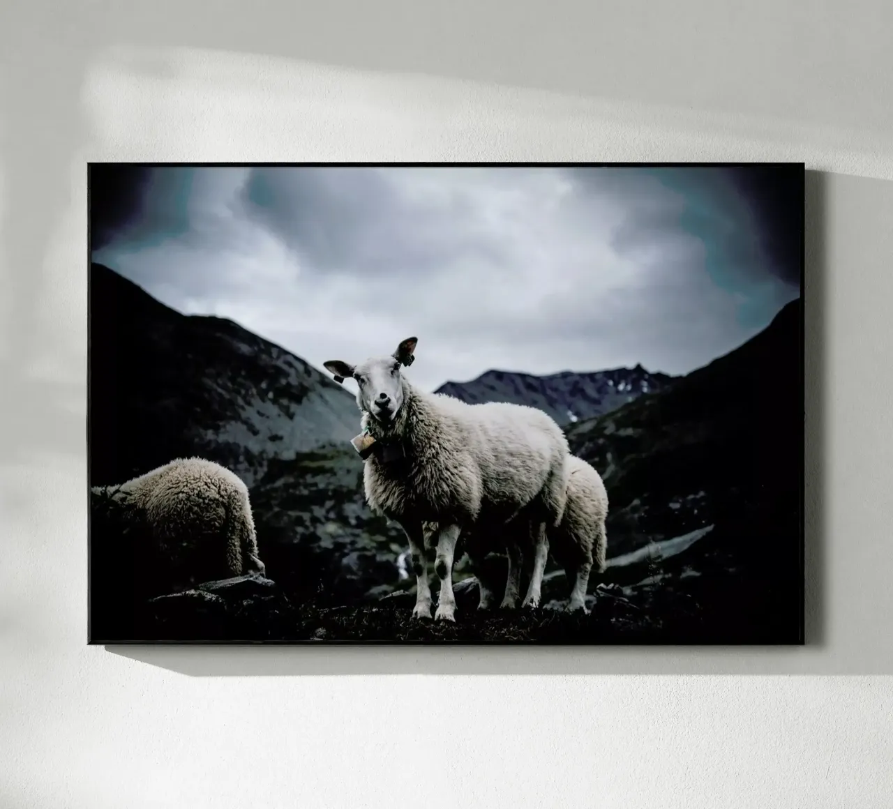 Sheep 2 plexiglass da Chris Abatzis