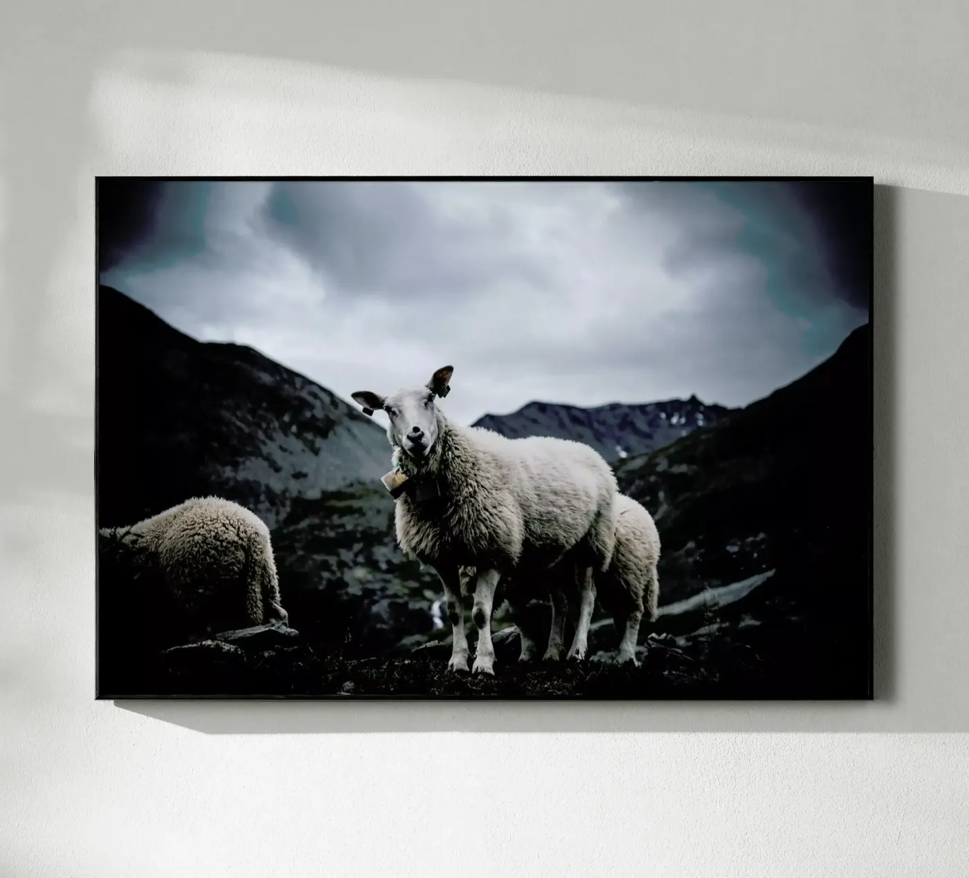 Sheep 2 plexiglass da Chris Abatzis