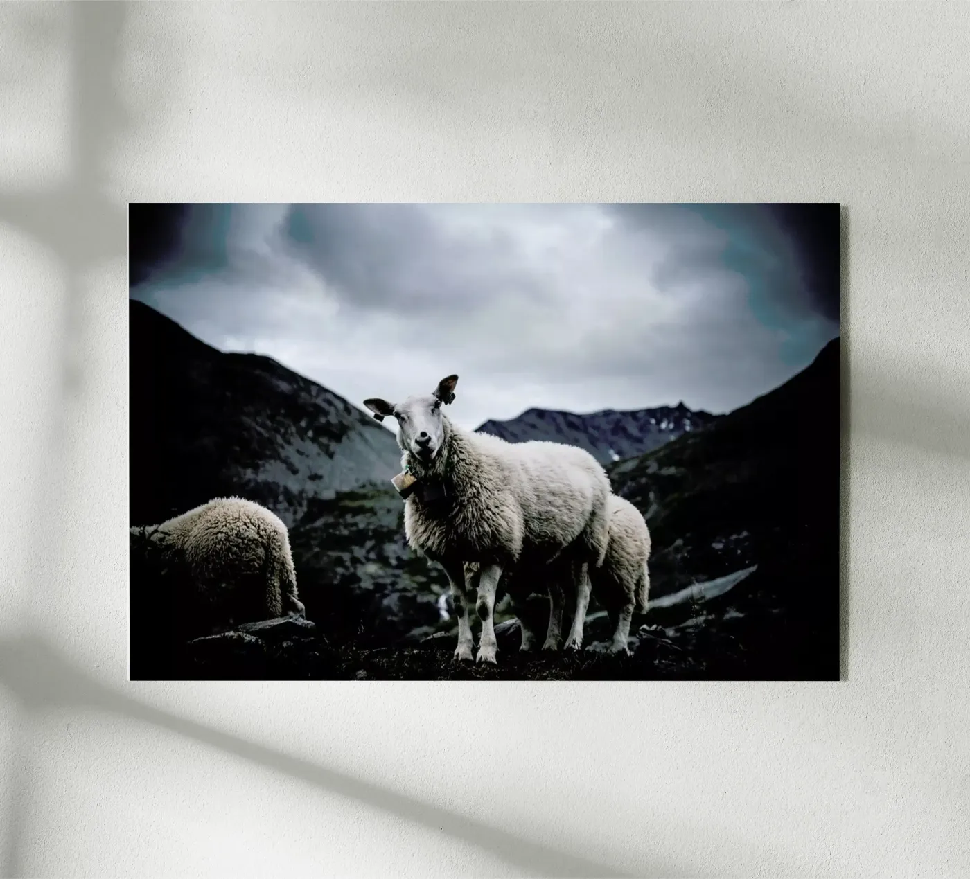 Sheep 2 plexiglass da Chris Abatzis
