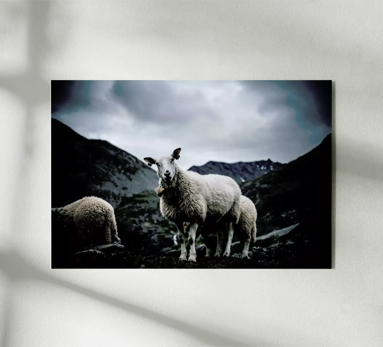 Sheep 2 plexiglass da Chris Abatzis